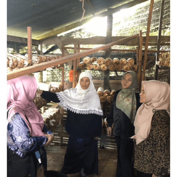 Salinan dari Baru - 4